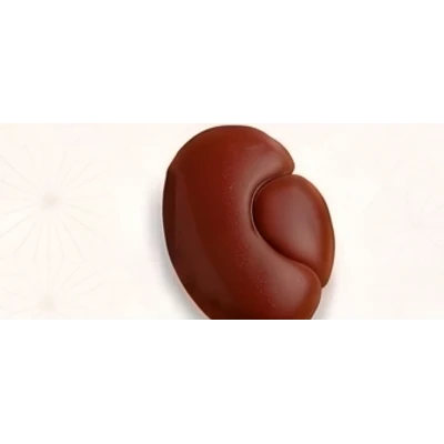 Kidney